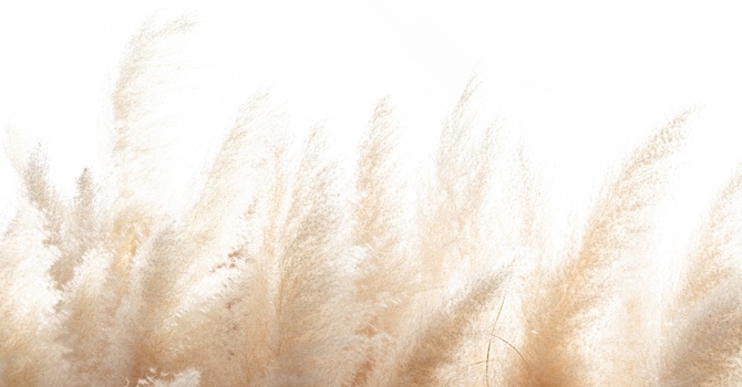 Brainspotting-Virtual