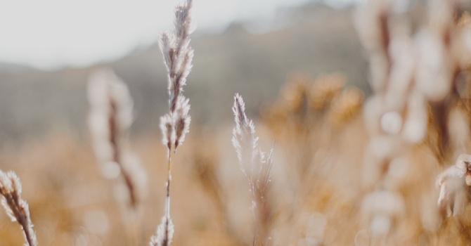 Ice Or Heat, Which Is Better When You're Hurt?