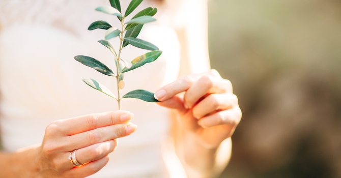 Clinical Consultations-Virtual 